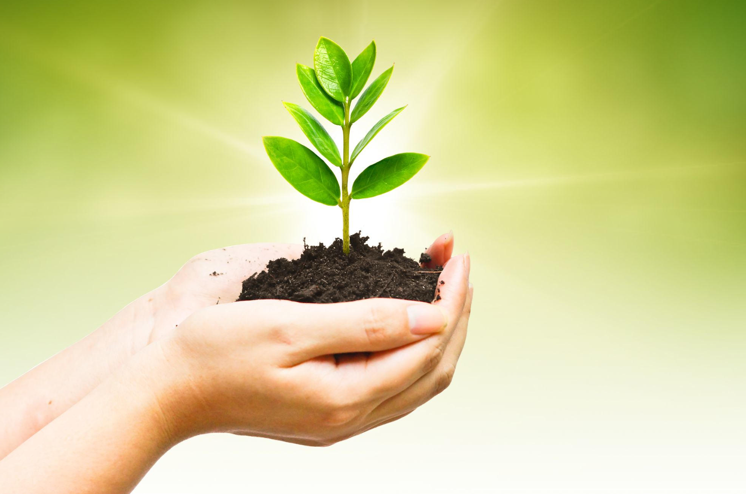 Hariyali Amavasya 2024- हरियाली अमावस्या का महत्व